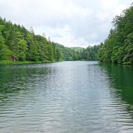 Plitvice Cottage Iggy Плитвицкие озёра Экстерьер фото